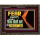 FEAR NOT FOR THOU SHALT NOT BE ASHAMED  Scriptural Wooden Frame Signs  GWGLORIOUS12710  