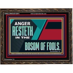 ANGER RESTETH IN THE BOSOM OF FOOLS  Scripture Art Prints  GWGLORIOUS12973  "45X33"