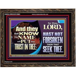 THEY THAT KNOW THY NAME WILL NOT BE FORSAKEN  Biblical Art Glass Wooden Frame  GWGLORIOUS12983  "45X33"