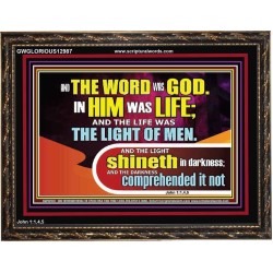 THE LIGHT SHINETH IN DARKNESS YET THE DARKNESS DID NOT OVERCOME IT  Ultimate Power Picture  GWGLORIOUS12987  "45X33"