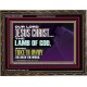 THE LAMB OF GOD WHICH TAKETH AWAY THE SIN OF THE WORLD  Children Room Wall Wooden Frame  GWGLORIOUS12991  