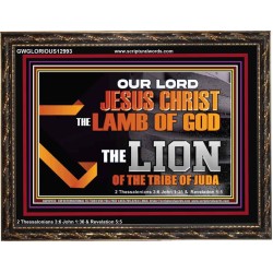THE LION OF THE TRIBE OF JUDA CHRIST JESUS  Ultimate Inspirational Wall Art Wooden Frame  GWGLORIOUS12993  "45X33"