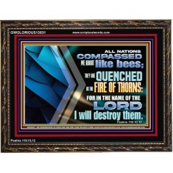 QUENCHED AS THE FIRE OF THORNS IN THE NAME OF THE LORD  Unique Power Bible Wooden Frame  GWGLORIOUS13031  "45X33"