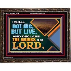 I SHALL NOT DIE BUT LIVE AND DECLARE THE WORKS OF THE LORD  Eternal Power Wooden Frame  GWGLORIOUS13034  "45X33"