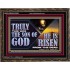 TRULY THIS WAS THE SON OF GOD HE IS RISEN FROM THE DEAD  Sanctuary Wall Wooden Frame  GWGLORIOUS13092  "45X33"