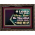 LORD MY GOD, I PRAY THEE BE MERCIFUL UNTO ME, AND RAISE ME UP  Unique Bible Verse Wooden Frame  GWGLORIOUS13112  "45X33"