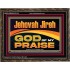 JEHOVAH JIREH GOD OF MY PRAISE  Bible Verse Art Prints  GWGLORIOUS13118  "45X33"