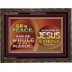 BE MADE WHOLE OF YOUR PLAGUE  Sanctuary Wall Wooden Frame  GWGLORIOUS9538  