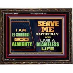 EL SHADDAI GOD ALMIGHTY  Unique Scriptural Wooden Frame  GWGLORIOUS9540  "45X33"