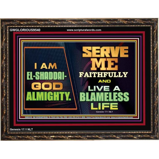 EL SHADDAI GOD ALMIGHTY  Unique Scriptural Wooden Frame  GWGLORIOUS9540  
