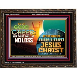 THERE SHALL BE NO LOSS  Righteous Living Christian Wooden Frame  GWGLORIOUS9543  "45X33"