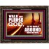 WALK AND PLEASE GOD  Scripture Art Wooden Frame  GWGLORIOUS9594  "45X33"