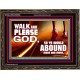 WALK AND PLEASE GOD  Scripture Art Wooden Frame  GWGLORIOUS9594  