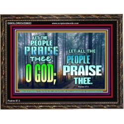 LET THE PEOPLE PRAISE THEE O GOD  Kitchen Wall Décor  GWGLORIOUS9603  "45X33"