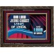 OUR LORD JESUS CHRIST KING OF KINGS, AND LORD OF LORDS.  Encouraging Bible Verse Wooden Frame  GWGLORIOUS9953  