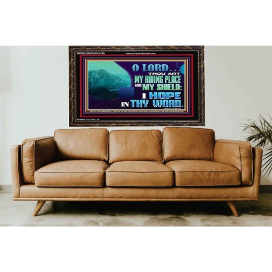 THOU ART MY HIDING PLACE AND SHIELD  Large Custom Wooden Frame   GWGLORIOUS12159  