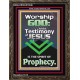 TESTIMONY OF JESUS IS THE SPIRIT OF PROPHECY  Kitchen Wall Décor  GWGLORIOUS10046  