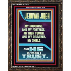 JEHOVAH JIREH MY GOODNESS MY HIGH TOWER MY DELIVERER MY SHIELD  Unique Power Bible Portrait  GWGLORIOUS11937  "33x45"