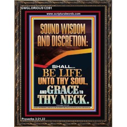 SOUND WISDOM AND DISCRETION SHALL BE LIFE UNTO THY SOUL  Bible Verse for Home Portrait  GWGLORIOUS12391  "33x45"