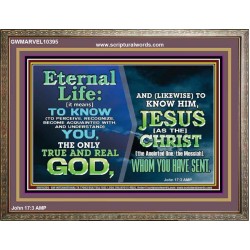 ETERNAL LIFE IS TO KNOW AND DWELL IN HIM CHRIST JESUS  Church Wooden Frame  GWMARVEL10395  "36X31"