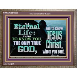 ETERNAL LIFE ONLY THROUGH CHRIST JESUS  Children Room  GWMARVEL10396  "36X31"