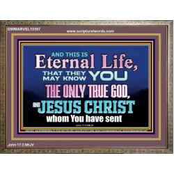 CHRIST JESUS THE ONLY WAY TO ETERNAL LIFE  Sanctuary Wall Wooden Frame  GWMARVEL10397  "36X31"