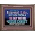 CHRIST JESUS THE ONLY WAY TO ETERNAL LIFE  Sanctuary Wall Wooden Frame  GWMARVEL10397  "36X31"