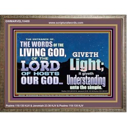 THE WORDS OF LIVING GOD GIVETH LIGHT  Unique Power Bible Wooden Frame  GWMARVEL10409  "36X31"