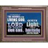 THE WORDS OF LIVING GOD GIVETH LIGHT  Unique Power Bible Wooden Frame  GWMARVEL10409  "36X31"