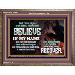 IN MY NAME SHALL THEY CAST OUT DEVILS  Christian Quotes Wooden Frame  GWMARVEL10460  "36X31"