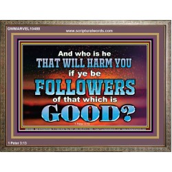 WHO IS IT THAT CAN HARM YOU  Bible Verse Art Prints  GWMARVEL10488  "36X31"