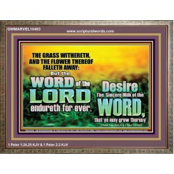 THE WORD OF THE LORD ENDURETH FOR EVER  Christian Wall Décor Wooden Frame  GWMARVEL10493  "36X31"