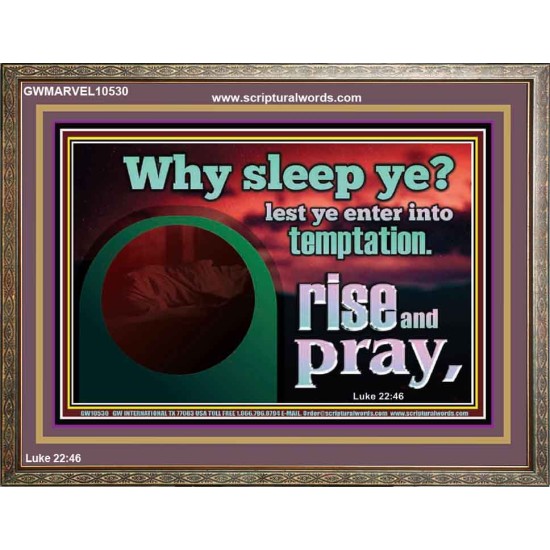 WHY SLEEP YE RISE AND PRAY  Unique Scriptural Wooden Frame  GWMARVEL10530  
