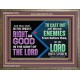 DO THAT WHICH IS RIGHT AND GOOD IN THE SIGHT OF THE LORD  Righteous Living Christian Wooden Frame  GWMARVEL10533  