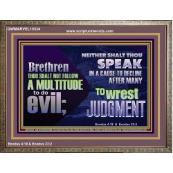 DO NOT FOLLOW MULTITUDE TO DO EVIL  Eternal Power Wooden Frame  GWMARVEL10534  "36X31"