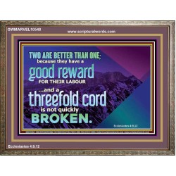 TWO ARE BETTER THAN ONE  Contemporary Christian Wall Art Wooden Frame  GWMARVEL10548  "36X31"