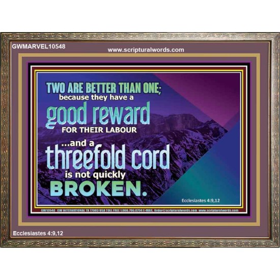 TWO ARE BETTER THAN ONE  Contemporary Christian Wall Art Wooden Frame  GWMARVEL10548  