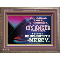 THE LORD DELIGHTETH IN MERCY  Contemporary Christian Wall Art Wooden Frame  GWMARVEL10564  "36X31"