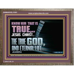 JESUS CHRIST THE TRUE GOD AND ETERNAL LIFE  Christian Wall Art  GWMARVEL10581  "36X31"