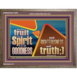 FRUIT OF THE SPIRIT IS IN ALL GOODNESS RIGHTEOUSNESS AND TRUTH  Eternal Power Picture  GWMARVEL10649  "36X31"