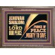 JEHOVAHSHALOM THE LORD OUR PEACE PRINCE OF PEACE  Church Wooden Frame  GWMARVEL10716  