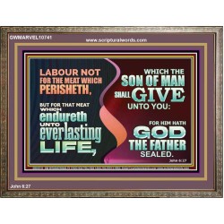 LABOUR NOT FOR THE MEAT WHICH PERISHETH  Bible Verse Wooden Frame  GWMARVEL10741  "36X31"