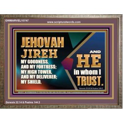 JEHOVAH JIREH OUR GOODNESS FORTRESS HIGH TOWER DELIVERER AND SHIELD  Scriptural Wooden Frame Signs  GWMARVEL10747  "36X31"