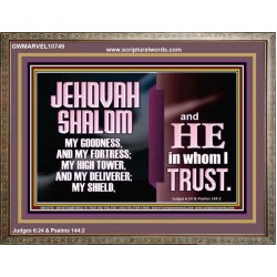 JEHOVAH SHALOM OUR GOODNESS FORTRESS HIGH TOWER DELIVERER AND SHIELD  Encouraging Bible Verse Wooden Frame  GWMARVEL10749  "36X31"