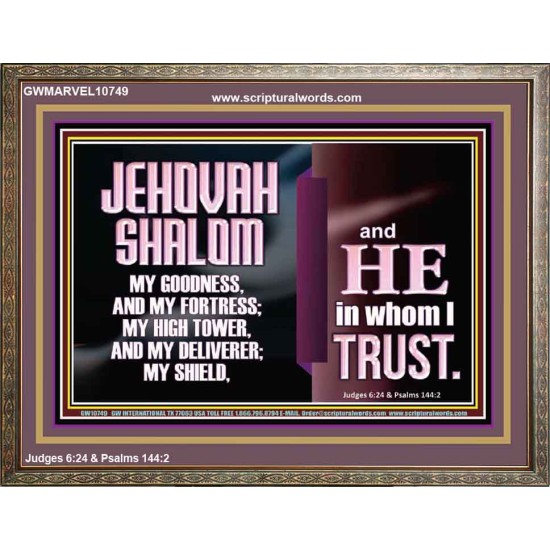 JEHOVAH SHALOM OUR GOODNESS FORTRESS HIGH TOWER DELIVERER AND SHIELD  Encouraging Bible Verse Wooden Frame  GWMARVEL10749  