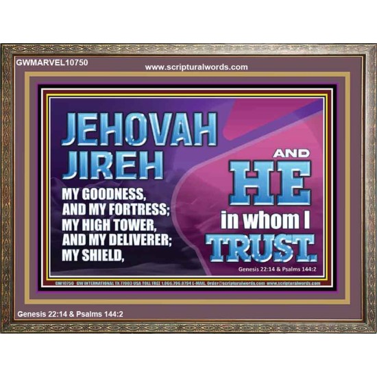 JEHOVAH JIREH OUR GOODNESS FORTRESS HIGH TOWER DELIVERER AND SHIELD  Encouraging Bible Verses Wooden Frame  GWMARVEL10750  