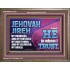 JEHOVAH JIREH OUR GOODNESS FORTRESS HIGH TOWER DELIVERER AND SHIELD  Encouraging Bible Verses Wooden Frame  GWMARVEL10750  "36X31"