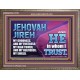 JEHOVAH JIREH OUR GOODNESS FORTRESS HIGH TOWER DELIVERER AND SHIELD  Encouraging Bible Verses Wooden Frame  GWMARVEL10750  