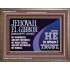 JEHOVAH EL GIBBOR MIGHTY GOD OUR GOODNESS FORTRESS HIGH TOWER DELIVERER AND SHIELD  Encouraging Bible Verse Wooden Frame  GWMARVEL10751  "36X31"