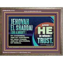 JEHOVAH EL SHADDAI GOD ALMIGHTY OUR GOODNESS FORTRESS HIGH TOWER DELIVERER AND SHIELD  Christian Quotes Wooden Frame  GWMARVEL10752  "36X31"